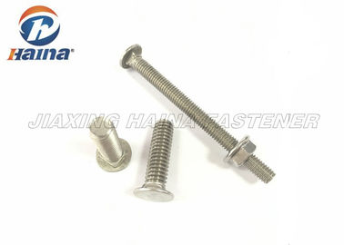 پیچ DIN608 A270 / 304 فولادی ضد زنگ با گردن مربع
